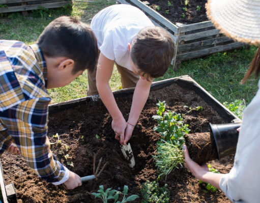 How Ash Wasilidas CPA Firm at ashcpa.com Helps Nonprofit Organizations Achieve Financial Sustainability